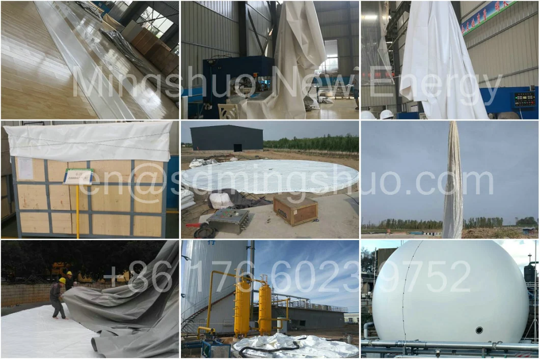 Constant Pressure Membrane Gas Dome Biogas Balloon Gas Storage Tank